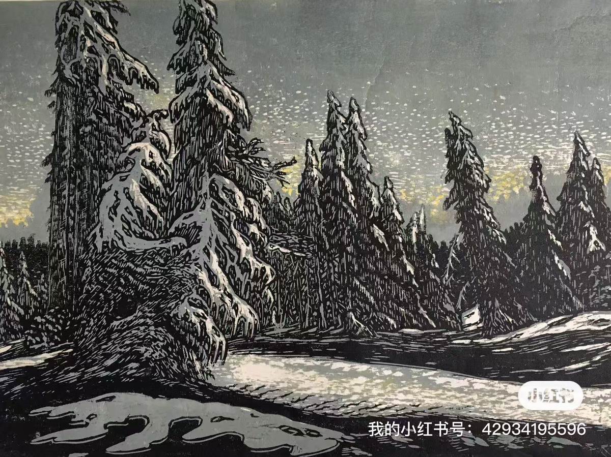 Snow Night 雪夜